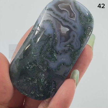 Moss Agate Palm stone